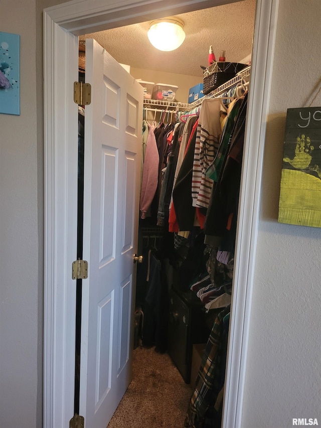 325 W N St, Dix, IL 62830 - spacious closet featuring carpet floors