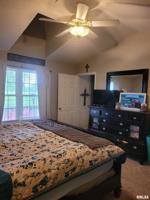 325 W N St, Dix, IL 62830 - carpeted bedroom with lofted ceiling and a ceiling fan