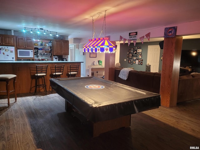 325 W N St, Dix, IL 62830 - rec room with rail lighting, wood finished floors, and pool table