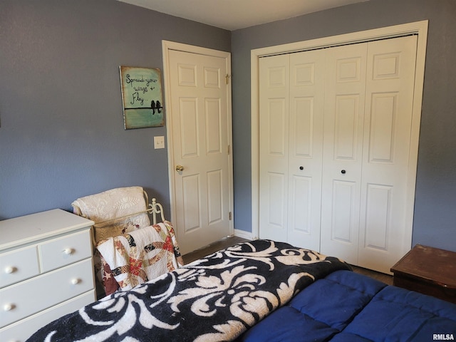 325 W N St, Dix, IL 62830 - bedroom with a closet
