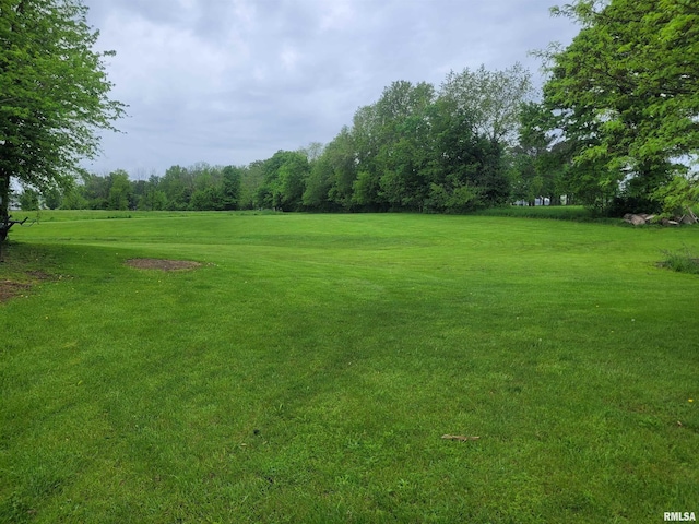 325 W N St, Dix, IL 62830 - view of yard