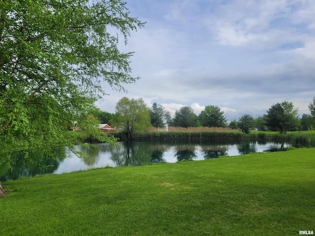 325 W N St, Dix, IL 62830 - property view of water