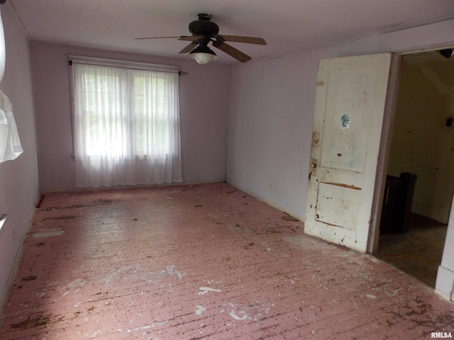327 Linden Ave, Centralia, IL 62801 - photo 17
