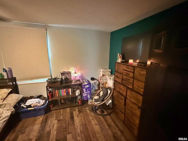 85 W State Highway 146, Golconda, IL 62938 - bedroom featuring wood finished floors
