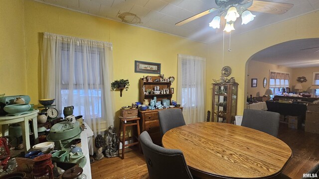 108 Ann St, Anna, IL 62906 - photo 20