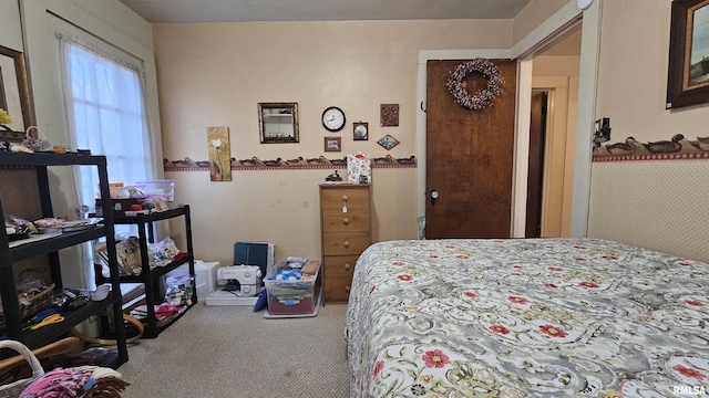 108 Ann St, Anna, IL 62906 - photo 35