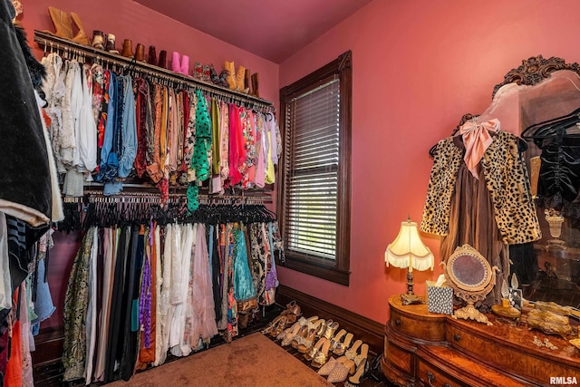 301 W High St, Anna, IL 62906 - walk in closet with carpet flooring
