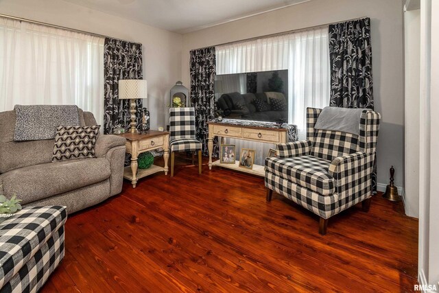 living room featuring wood finished floors