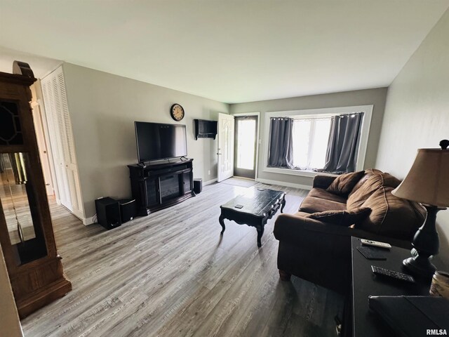 living room with wood finished floors and baseboards