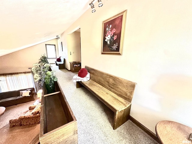 7 Lakewood Dr, Centralia, IL 62801 - community lobby with lofted ceiling