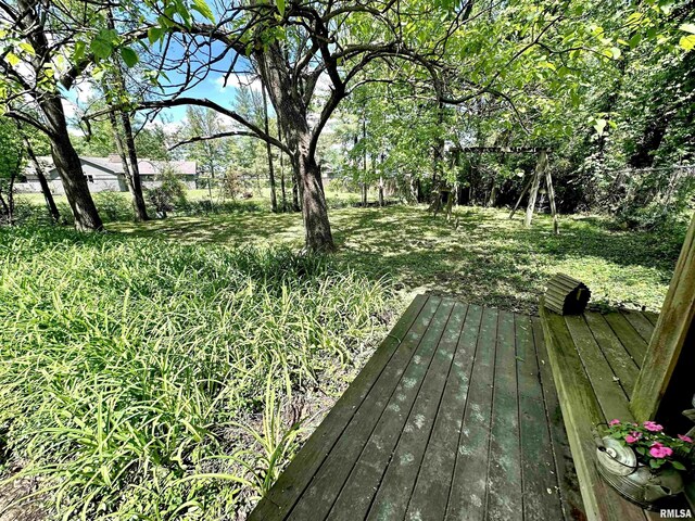 7 Lakewood Dr, Centralia, IL 62801 - view of wooden deck