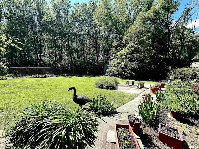 7 Lakewood Dr, Centralia, IL 62801 - view of yard