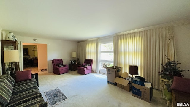 15048 State Highway 14, Benton, IL 62812 - living area featuring carpet floors and crown molding