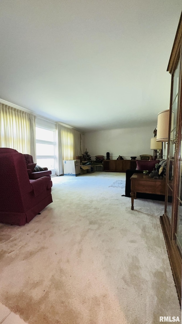 15048 State Highway 14, Benton, IL 62812 - living room with carpet