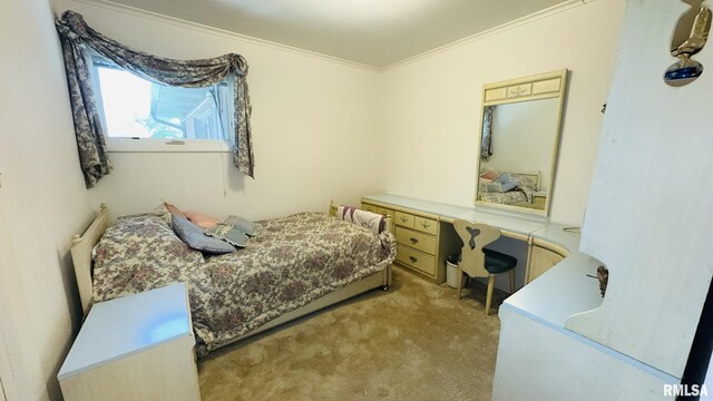 15048 State Highway 14, Benton, IL 62812 - bedroom with ornamental molding and carpet floors