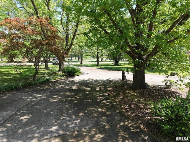 15048 State Highway 14, Benton, IL 62812 - view of property's community