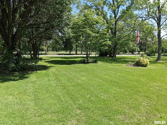15048 State Highway 14, Benton, IL 62812 - view of grassy yard