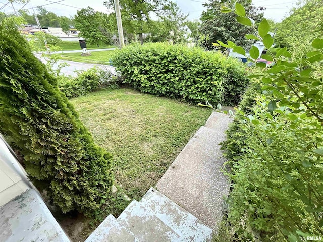 104 W Maple St, Cobden, IL 62920 - view of grassy yard