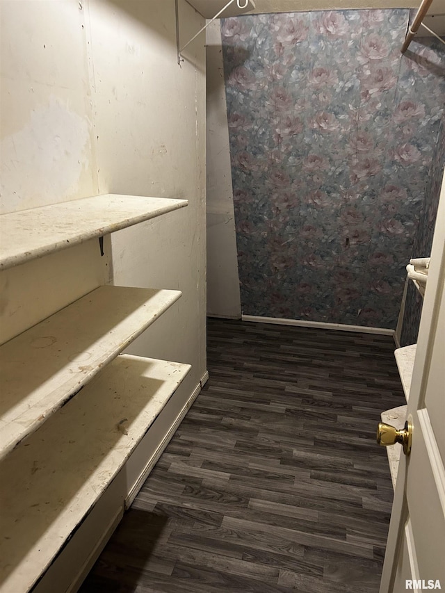 11729 Kevin Ln, Carterville, IL 62918 - spacious closet with dark wood-type flooring