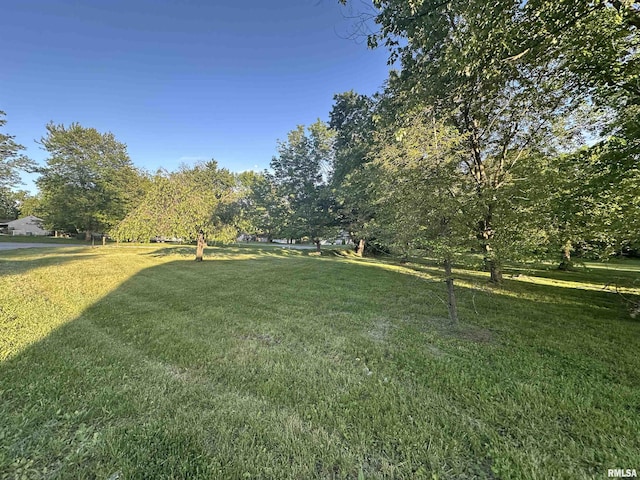 11729 Kevin Ln, Carterville, IL 62918 - view of green lawn