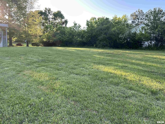 11729 Kevin Ln, Carterville, IL 62918 - view of grassy yard