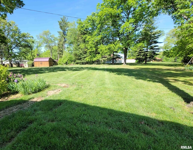 219 Oak Tree Ave, Salem, IL 62881 - photo 32