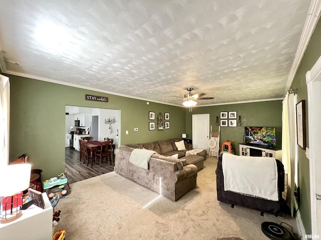 405 E Saint Louis St, West Frankfort, IL 62896 - living area featuring ceiling fan, ornamental molding, a textured ceiling, and wood finished floors