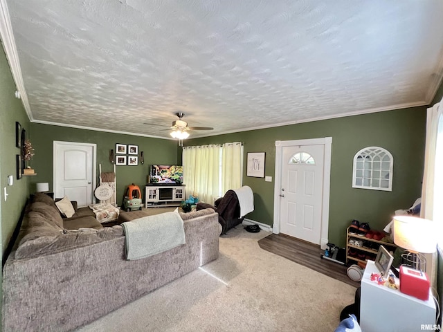 405 E Saint Louis St, West Frankfort, IL 62896 - living area with ceiling fan, ornamental molding, baseboards, and a textured ceiling