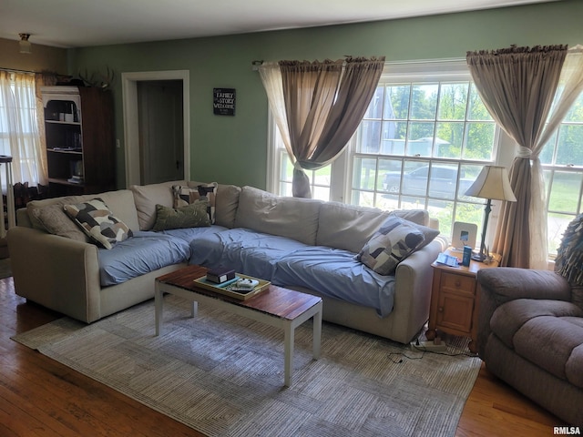 1806 Pace Ave, Mount Vernon, IL 62864 - living area featuring plenty of natural light and wood finished floors