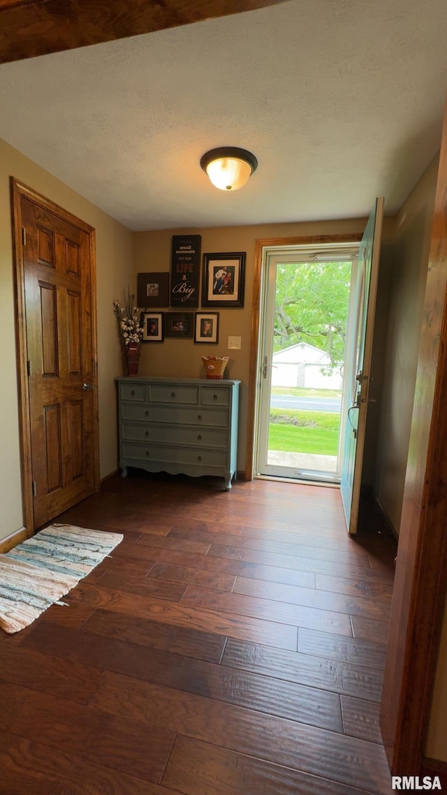 105 E Yung St, Sesser, IL 62884 - entryway with dark wood finished floors