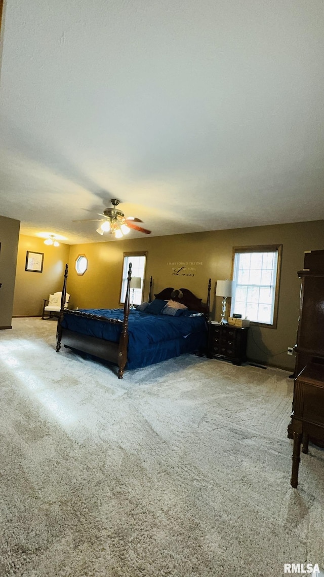 105 E Yung St, Sesser, IL 62884 - carpeted bedroom with ceiling fan