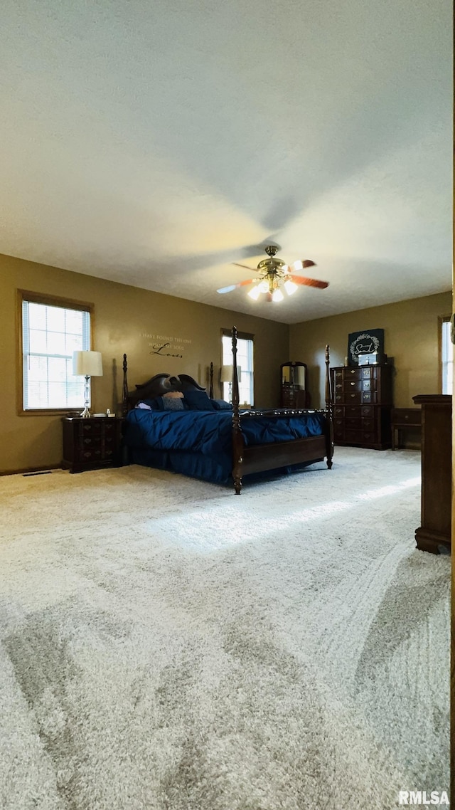105 E Yung St, Sesser, IL 62884 - bedroom featuring carpet floors, multiple windows, and ceiling fan