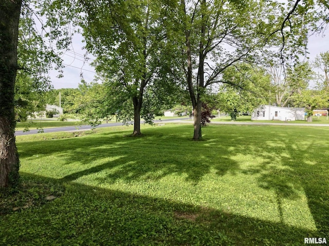 105 E Yung St, Sesser, IL 62884 - view of grassy yard