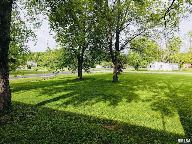 105 E Yung St, Sesser, IL 62884 - view of green lawn