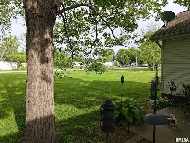 105 E Yung St, Sesser, IL 62884 - view of green lawn