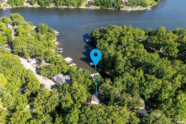 385 S Lakeshore Dr, Goreville, IL 62939 - photo 37