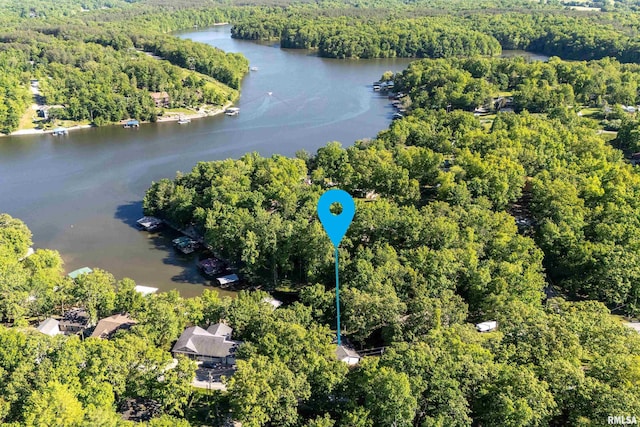 385 S Lakeshore Dr, Goreville, IL 62939 - photo 6
