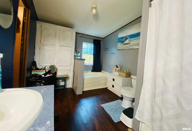 2413 N St, Harrisburg, IL 62946 - full bath with vaulted ceiling, wood finished floors, toilet, a garden tub, and a sink