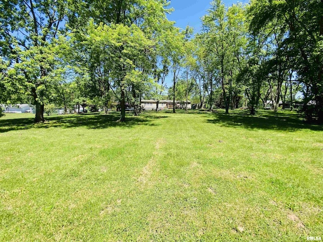 2413 N St, Harrisburg, IL 62946 - view of green lawn