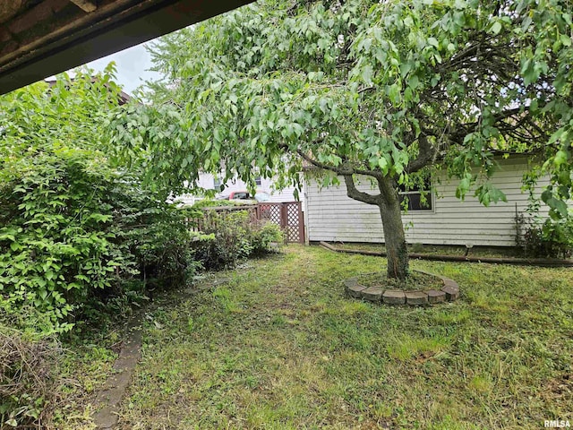108 Fair Ave, Flora, IL 62839 - photo 6
