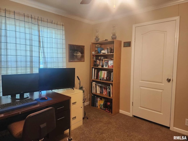 312 Beulah St, Christopher, IL 62822 - home office featuring carpet flooring, ornamental molding, and baseboards