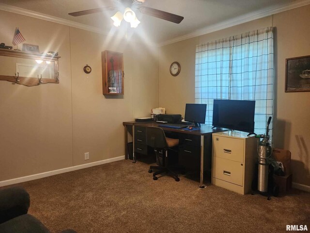 312 Beulah St, Christopher, IL 62822 - office space with crown molding, carpet, ceiling fan, and baseboards