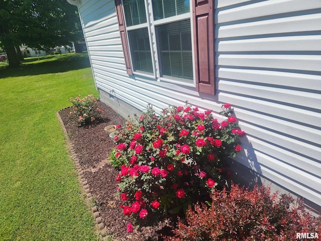 312 Beulah St, Christopher, IL 62822 - exterior view
