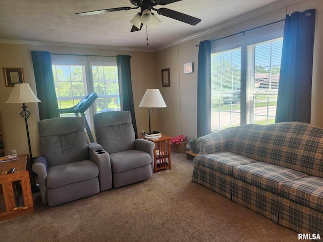 312 Beulah St, Christopher, IL 62822 - living room with carpet, plenty of natural light, crown molding, and ceiling fan