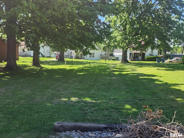 312 Beulah St, Christopher, IL 62822 - view of grassy yard