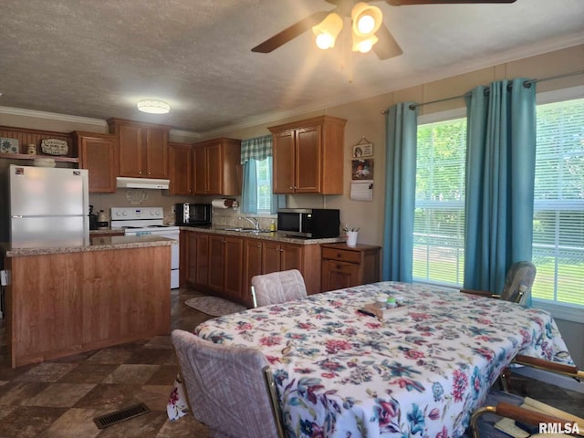312 Beulah St, Christopher, IL 62822 - kitchen with white range with electric stovetop, freestanding refrigerator, under cabinet range hood, stainless steel microwave, and ceiling fan