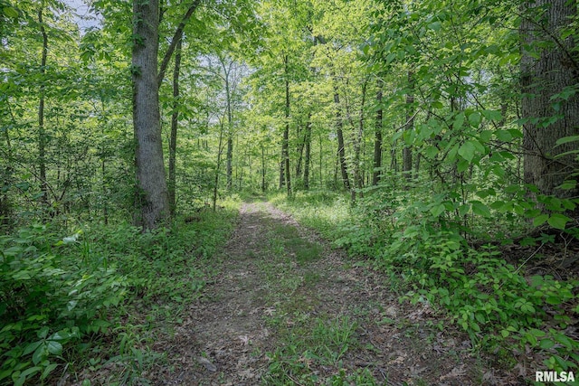 15751 E Tolle Rd, Mount Vernon, IL 62864 - view of wooded area