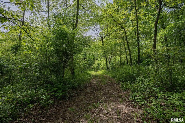 15751 E Tolle Rd, Mount Vernon, IL 62864 - view of wooded area