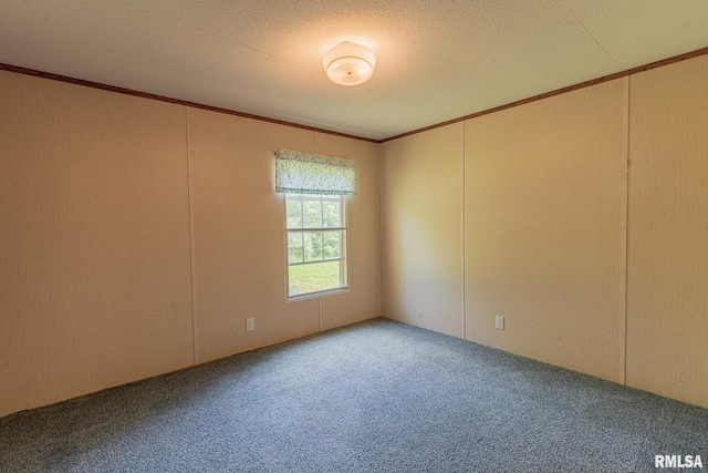 15751 E Tolle Rd, Mount Vernon, IL 62864 - carpeted spare room featuring crown molding, a decorative wall, and a textured ceiling