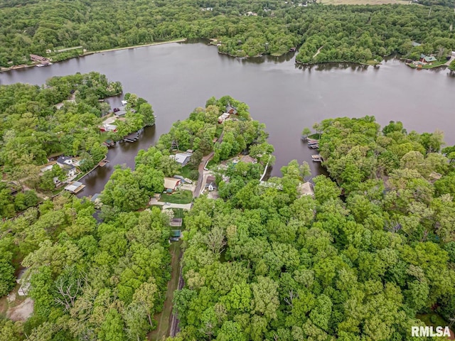 2234 Cascade Ln, Centralia, IL 62801 - aerial view of property and surrounding area featuring a nearby body of water and a heavily wooded area